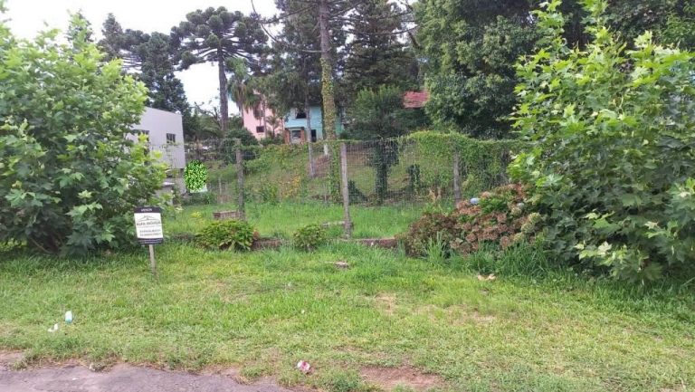 B-03     FANTÁSTICO TERRENO COM 24 METROS DE FRENTE PARA AVENIDA 15 DE NOVEMBRO!!!