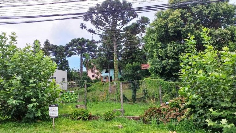 B-03     FANTÁSTICO TERRENO COM 24 METROS DE FRENTE PARA AVENIDA 15 DE NOVEMBRO!!!