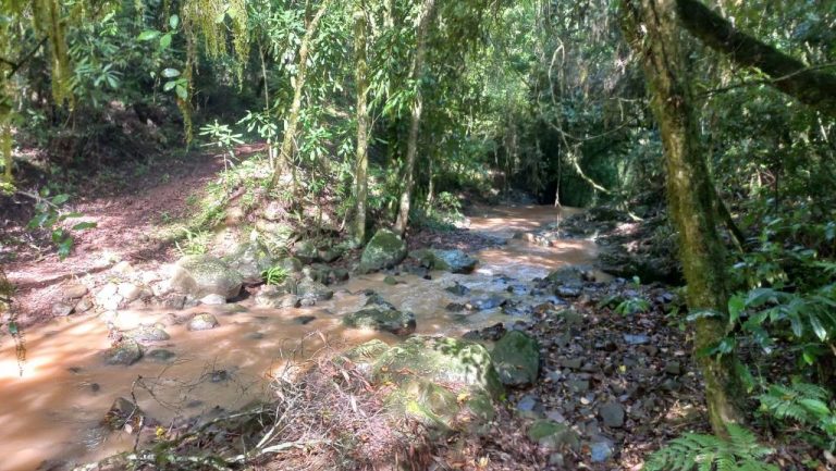 B-401     ÁREA DE TERRAS COM RIACHO E LINDA CASCATA!!!