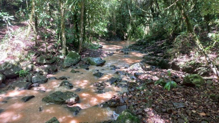 B-401     ÁREA DE TERRAS COM RIACHO E LINDA CASCATA!!!