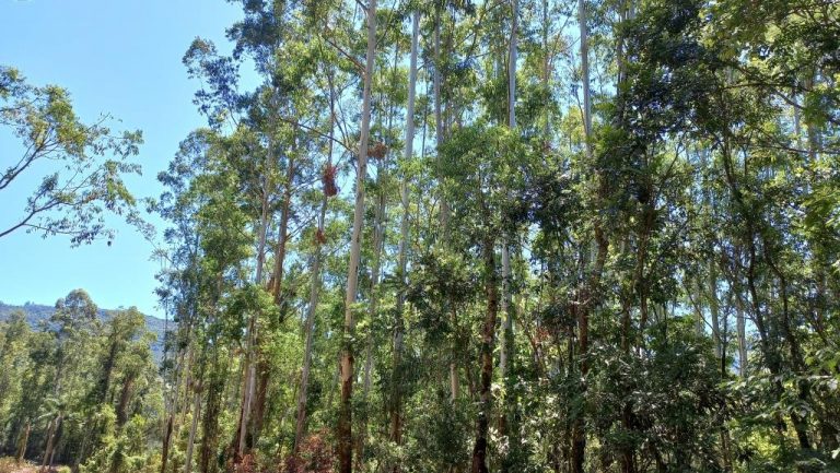 B-401     ÁREA DE TERRAS COM RIACHO E LINDA CASCATA!!!