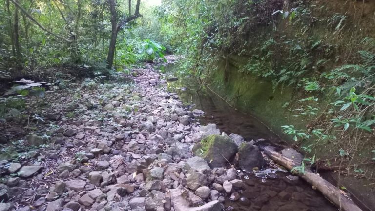 B-401     ÁREA DE TERRAS COM RIACHO E LINDA CASCATA!!!
