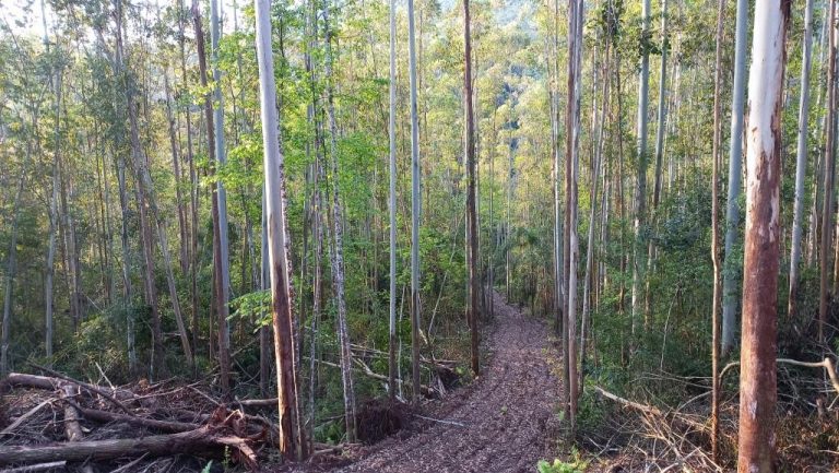 B-401     ÁREA DE TERRAS COM RIACHO E LINDA CASCATA!!!