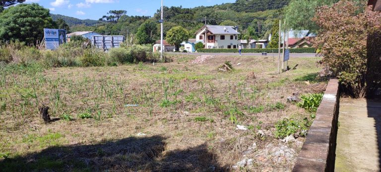 B-30    EXCELENTE TERRENO PLANO COM FRENTE PARA A RS 235 NA LINHA IMPERIAL – NOVA PETRÓPOLIS