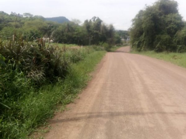 B-1408     CHÁCARA 100% PLANA E COM DUAS CASAS