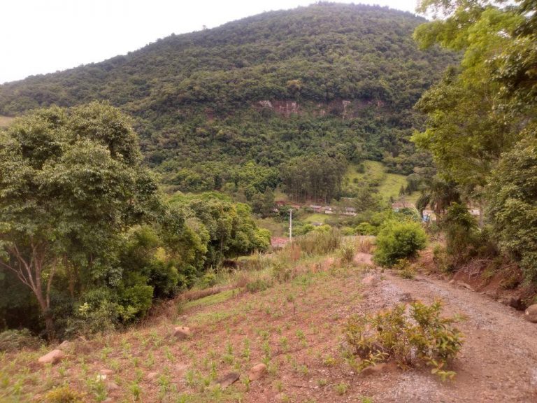 B-482     SÍTIO COM CASA ENXAIMEL E FANTÁSTICA VISTA PANORÂMICA!!!