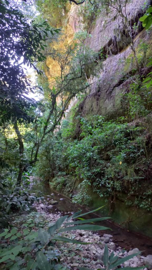 B-401     ÁREA DE TERRAS COM RIACHO E LINDA CASCATA!!!