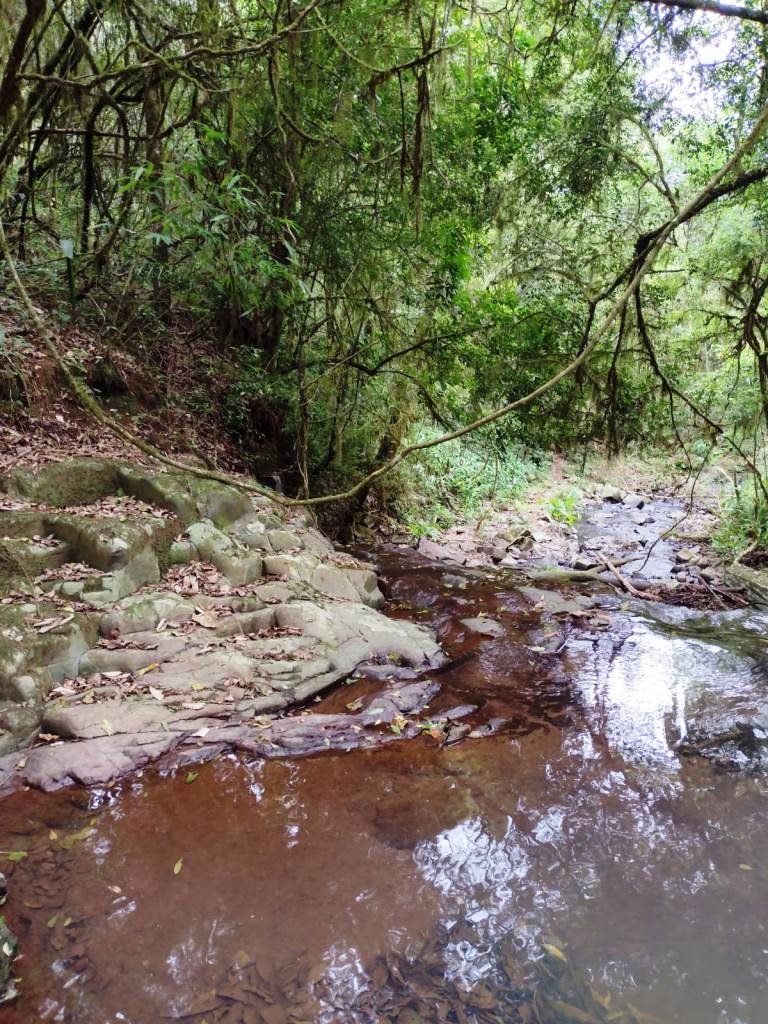 B-401     ÁREA DE TERRAS COM RIACHO E LINDA CASCATA!!!