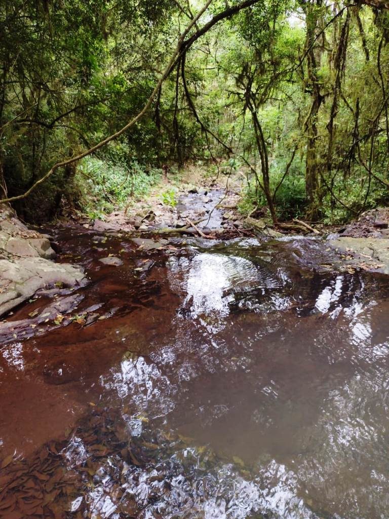B-401     ÁREA DE TERRAS COM RIACHO E LINDA CASCATA!!!