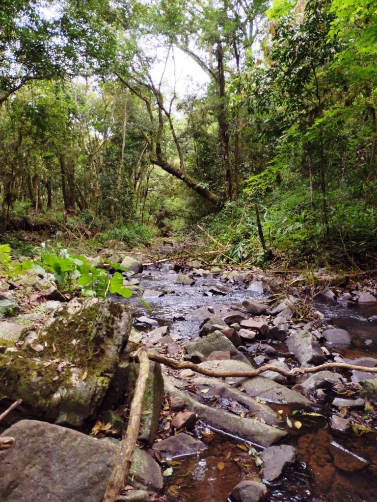 B-401     ÁREA DE TERRAS COM RIACHO E LINDA CASCATA!!!