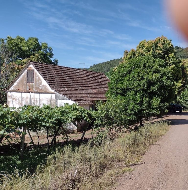 B-1544     ÁREA DE TERRAS COM EXCELENTE VISTA PARA VALES EM PICADA CAFÉ/RS