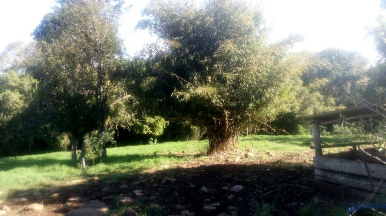 B-1408     CHÁCARA 100% PLANA E COM DUAS CASAS