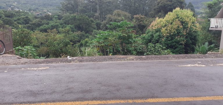 B-1240     TERRENO AMPLO E DIVISA AOS FUNDOS COM RIO CADEIA EM PICADA CAFÉ-RS