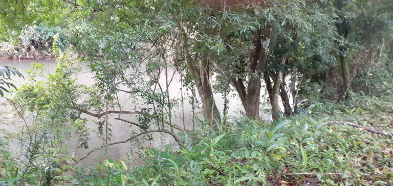 B-1240     TERRENO AMPLO E DIVISA AOS FUNDOS COM RIO CADEIA EM PICADA CAFÉ-RS