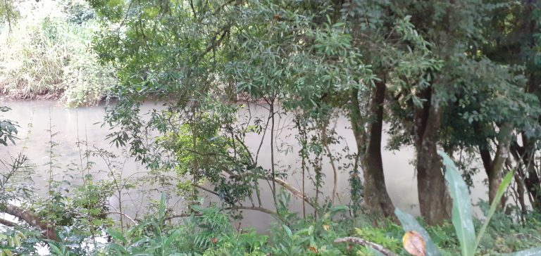 B-1240     TERRENO AMPLO E DIVISA AOS FUNDOS COM RIO CADEIA EM PICADA CAFÉ-RS