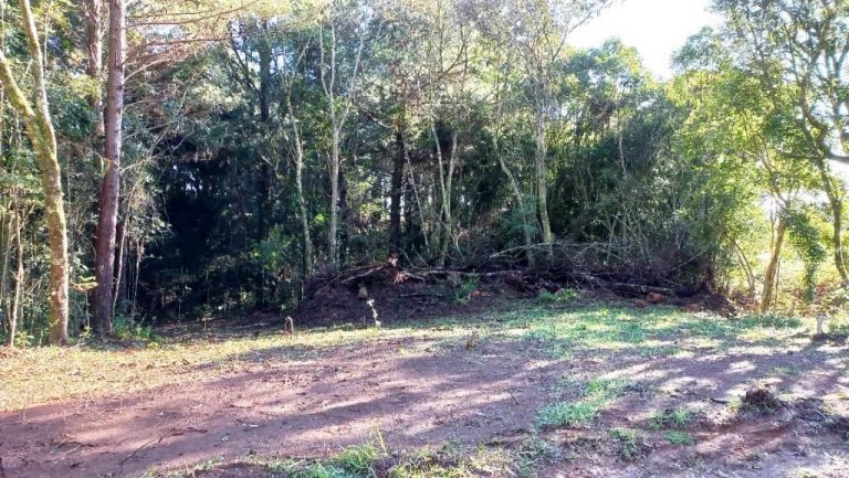 B-547     ÁREA DE TERRAS COMPLETAMENTE PLANA!!!
