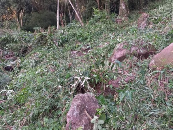 B-48     TERRENO DE 2.500 M² NO NINHO DAS ÁGUIAS COM LINDA VISÃO PANORÂMICA!!!