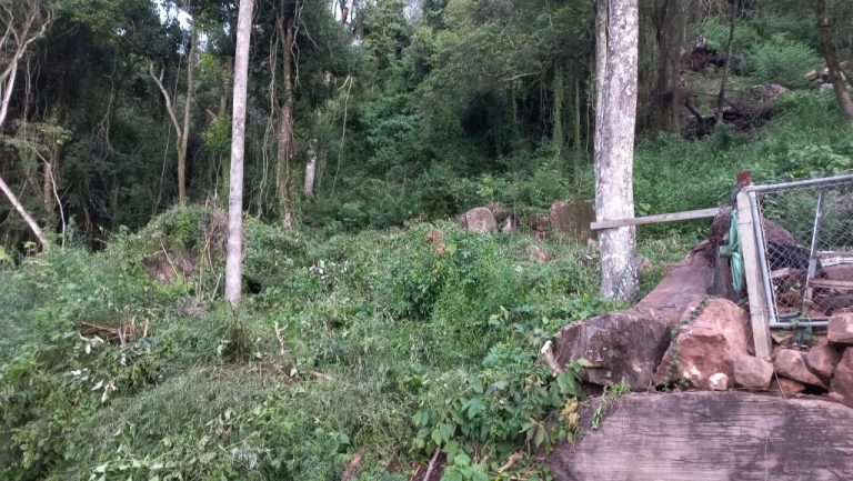 B-48     TERRENO DE 2.500 M² NO NINHO DAS ÁGUIAS COM LINDA VISÃO PANORÂMICA!!!