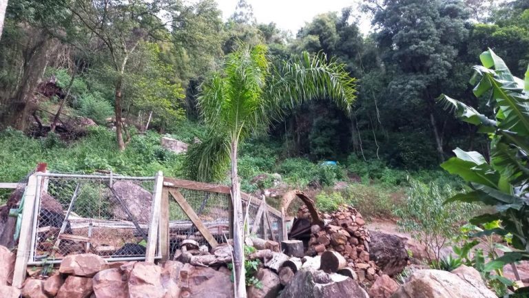 B-48     TERRENO DE 2.500 M² NO NINHO DAS ÁGUIAS COM LINDA VISÃO PANORÂMICA!!!