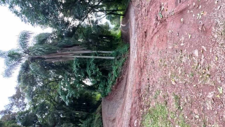 B-48     TERRENO DE 2.500 M² NO NINHO DAS ÁGUIAS COM LINDA VISÃO PANORÂMICA!!!