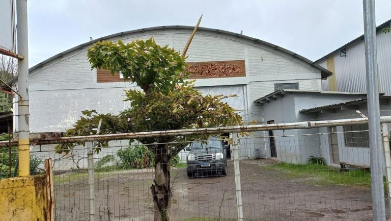 B-1018     DOIS ENORMES PAVILHÕES NO CENTRO DE NOVA PETRÓPOLIS!!!