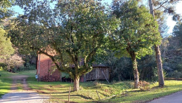 B-504     FANTÁSTICA ÁREA DE TERRAS EM GRAMADO!!!