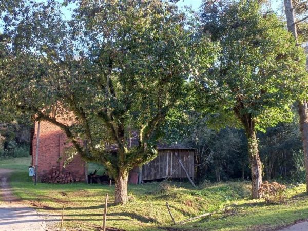 B-504     FANTÁSTICA ÁREA DE TERRAS EM GRAMADO!!!
