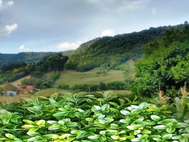 B-568 – 12 HECTARES DE TERRAS PRÓXIMO À RS 235!!!