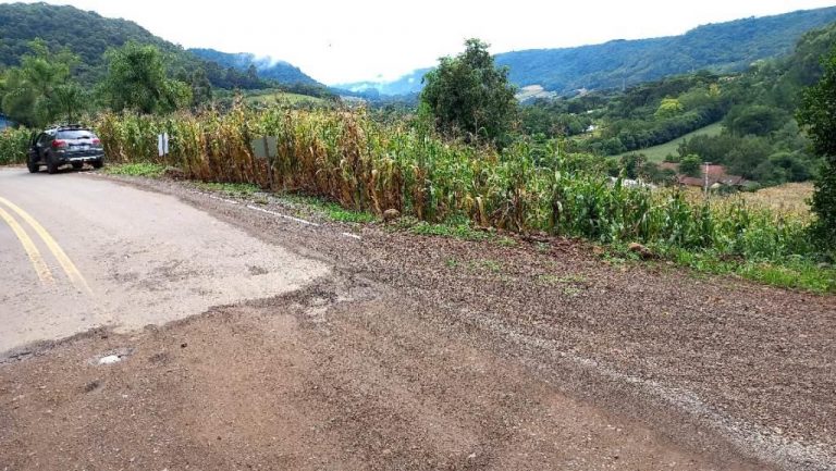B-505     ÁREA DE TERRAS 100% APROVEITÁVEL COM FRENTE PARA ASFALTO E PRÓXIMO À RS 235!!!