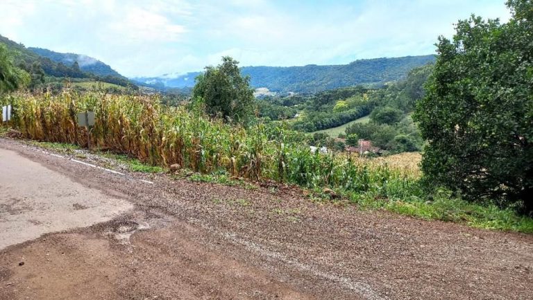 B-505     ÁREA DE TERRAS 100% APROVEITÁVEL COM FRENTE PARA ASFALTO E PRÓXIMO À RS 235!!!