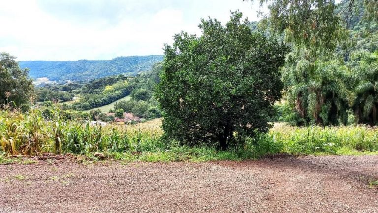 B-505     ÁREA DE TERRAS 100% APROVEITÁVEL COM FRENTE PARA ASFALTO E PRÓXIMO À RS 235!!!