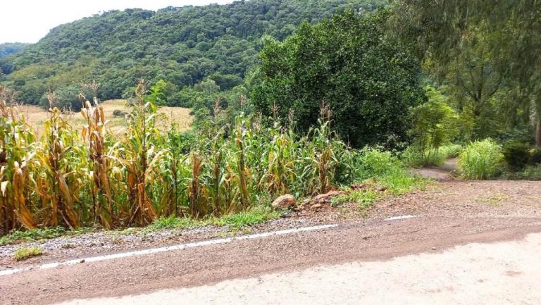 B-505     ÁREA DE TERRAS 100% APROVEITÁVEL COM FRENTE PARA ASFALTO E PRÓXIMO À RS 235!!!