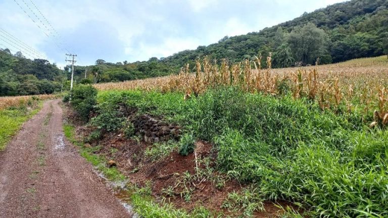 B-505     ÁREA DE TERRAS 100% APROVEITÁVEL COM FRENTE PARA ASFALTO E PRÓXIMO À RS 235!!!
