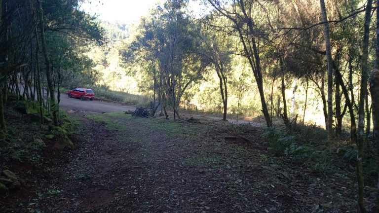 B-708 ÁREA DE TERRAS EM SANTA MARIA DO HERVAL