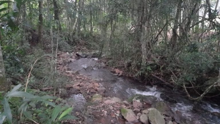 B-750     SÍTIO COM 12 HECTARES EM SANTA MARIA DO HERVAL