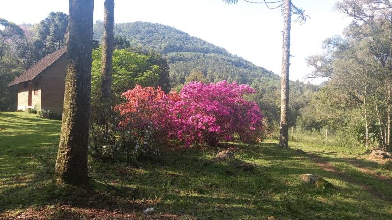B-750     SÍTIO COM 12 HECTARES EM SANTA MARIA DO HERVAL
