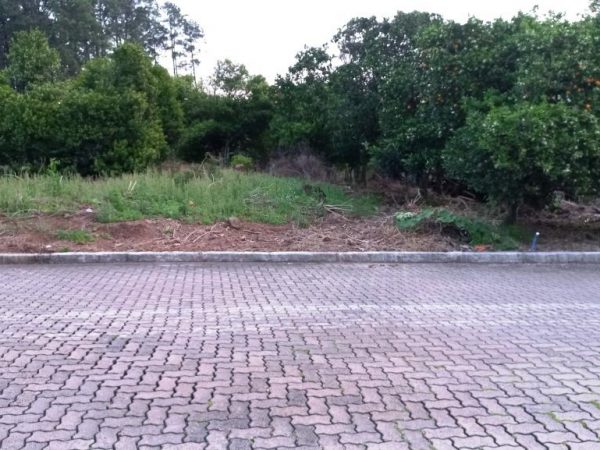 B-29     LINDO E ENORME TERRENO COMPLETAMENTE PLANO MEDINDO 1.577,20 M²!!!