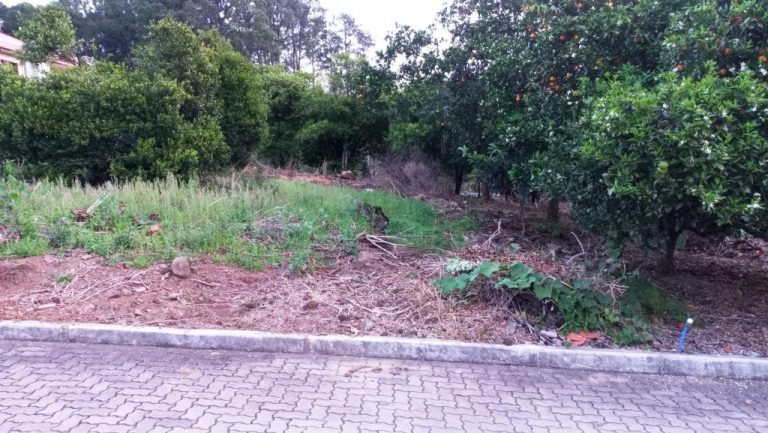B-29     LINDO E ENORME TERRENO COMPLETAMENTE PLANO MEDINDO 1.577,20 M²!!!