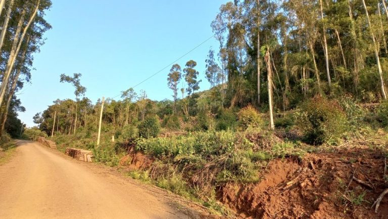 B-528     ÁREA DE TERRAS TOTALMENTE UTILIZÁVEL DE FRENTE PRA RUA PRINCIPAL!!!!