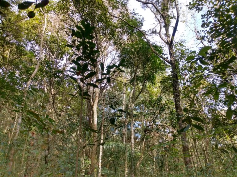 B-512     LINDA ÁREA DE TERRAS PARA QUEM AMA A NATUREZA!!!