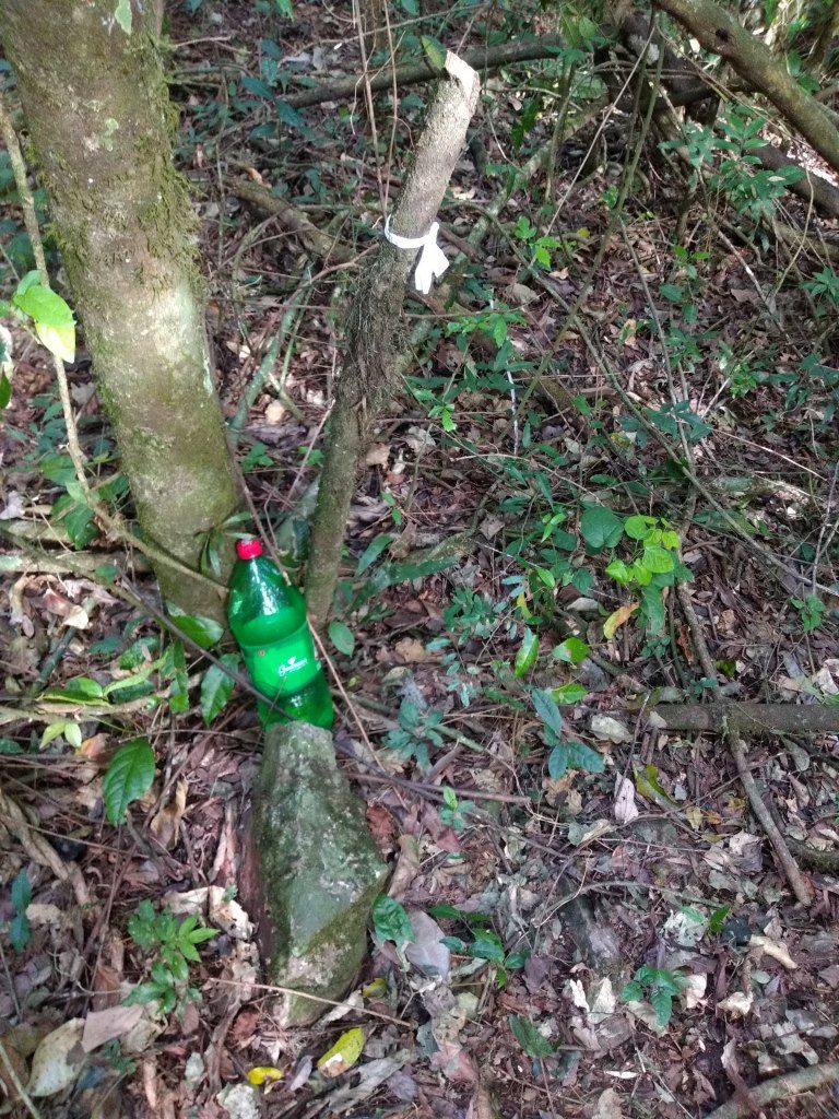 B-512     LINDA ÁREA DE TERRAS PARA QUEM AMA A NATUREZA!!!