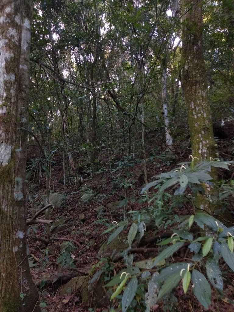 B-512     LINDA ÁREA DE TERRAS PARA QUEM AMA A NATUREZA!!!