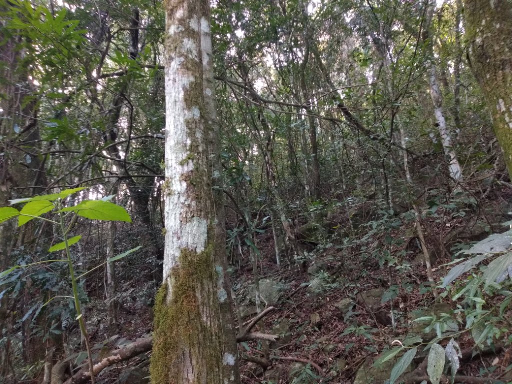 B-512     LINDA ÁREA DE TERRAS PARA QUEM AMA A NATUREZA!!!