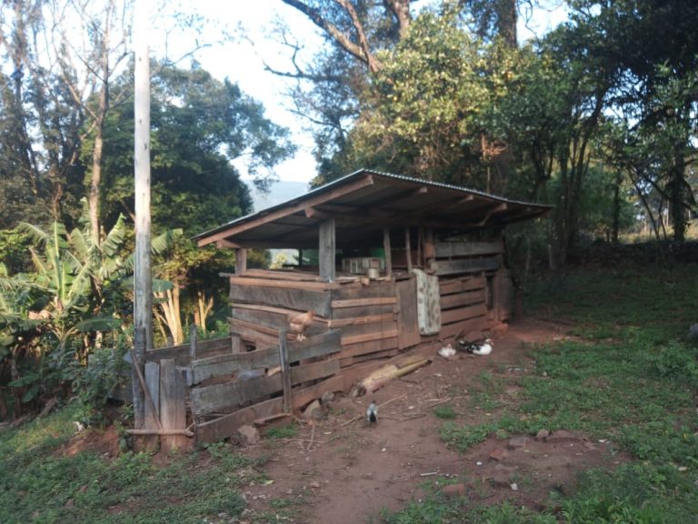 B-773 Sítio em São Francisco de Paula