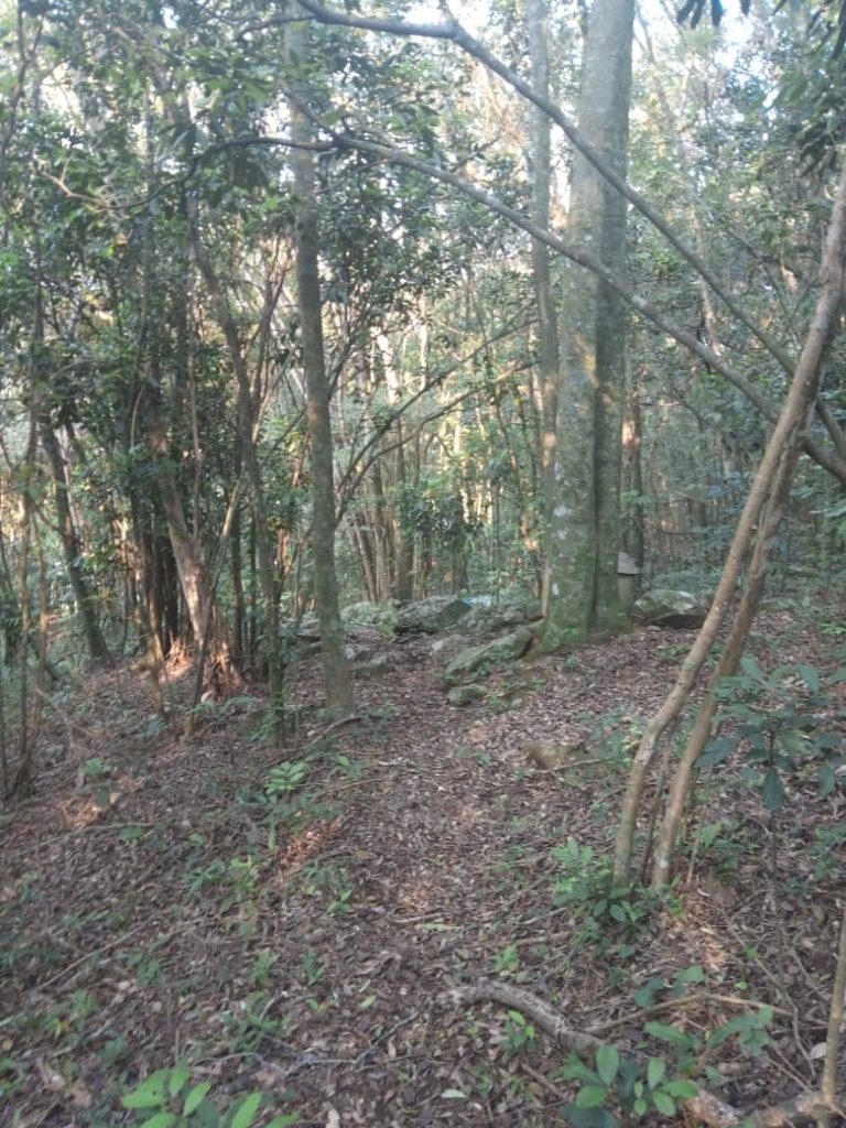 B-773 Sítio em São Francisco de Paula