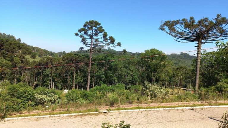 B-131     ENORME TERRENO COM FANTÁSTICA VISTA PANORÂMICA!!!