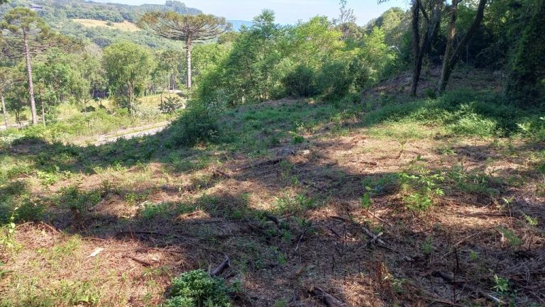 B-131     ENORME TERRENO COM FANTÁSTICA VISTA PANORÂMICA!!!