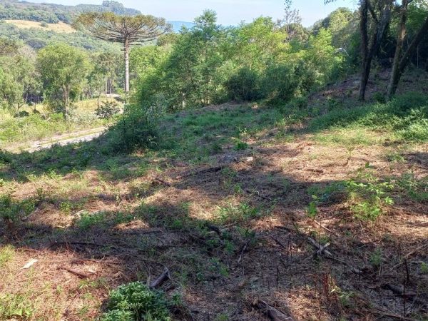 B-131     ENORME TERRENO COM FANTÁSTICA VISTA PANORÂMICA!!!