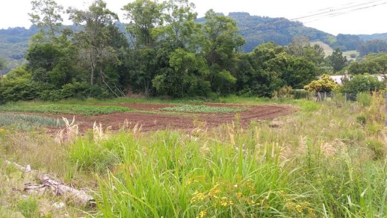 B-53     TERRENO COM AMPLA FRENTE PARA A RS 235!!!