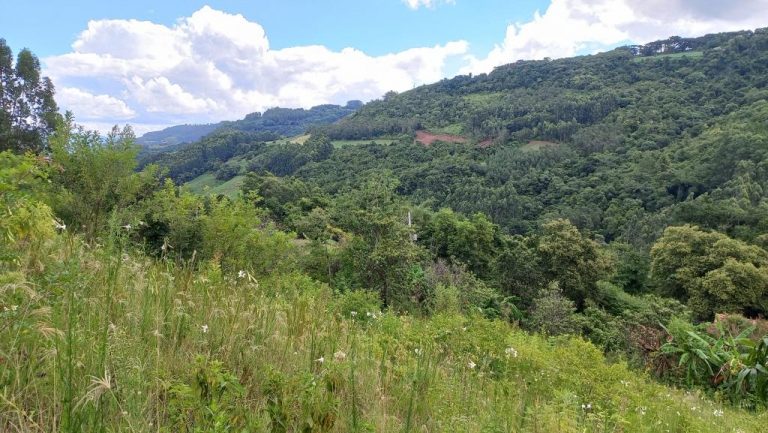 B-546     ÁREA DE TERRAS COM LINDÍSSIMA VISTA PANORÂMICA!!!